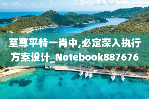 至尊平特一肖中,必定深入执行方案设计_Notebook887676