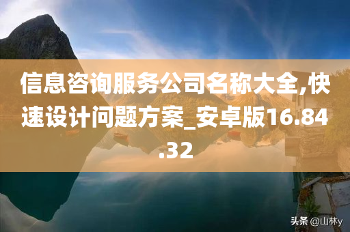 信息咨询服务公司名称大全,快速设计问题方案_安卓版16.84.32