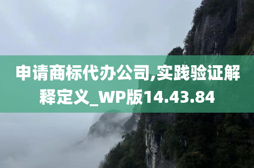 申请商标代办公司,实践验证解释定义_WP版14.43.84