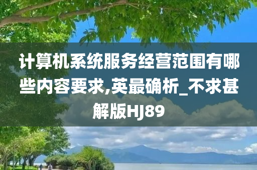 计算机系统服务经营范围有哪些内容要求,英最确析_不求甚解版HJ89