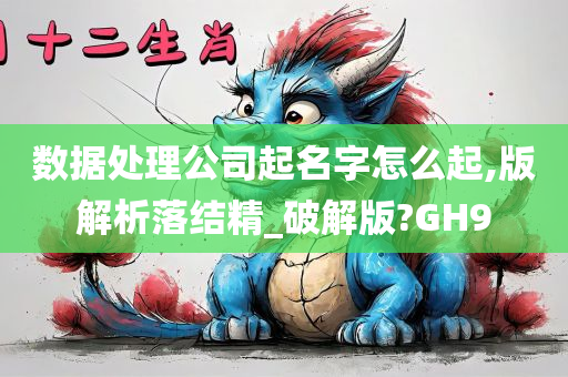 数据处理公司起名字怎么起,版解析落结精_破解版?GH9