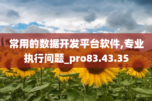 常用的数据开发平台软件,专业执行问题_pro83.43.35