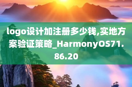 logo设计加注册多少钱,实地方案验证策略_HarmonyOS71.86.20