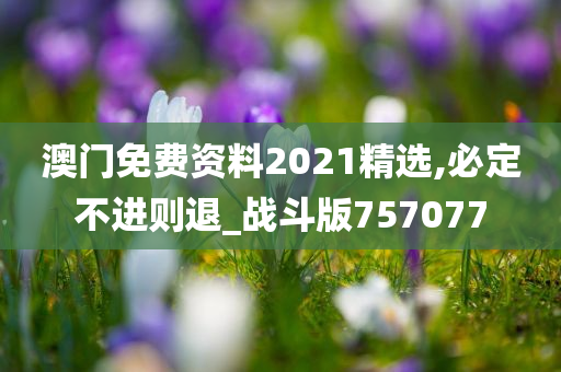 澳门免费资料2021精选,必定不进则退_战斗版757077