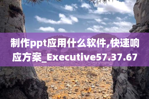 制作ppt应用什么软件,快速响应方案_Executive57.37.67