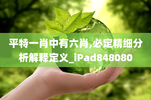 平特一肖中有六肖,必定精细分析解释定义_iPad848080