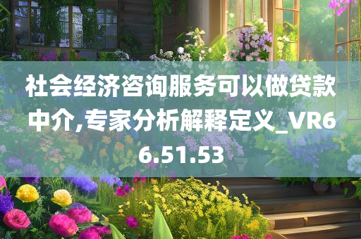 社会经济咨询服务可以做贷款中介,专家分析解释定义_VR66.51.53