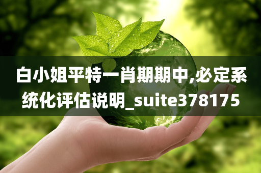 白小姐平特一肖期期中,必定系统化评估说明_suite378175