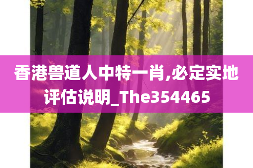 香港兽道人中特一肖,必定实地评估说明_The354465