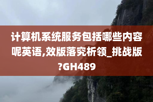 计算机系统服务包括哪些内容呢英语,效版落究析领_挑战版?GH489