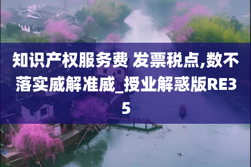 知识产权服务费 发票税点,数不落实威解准威_授业解惑版RE35