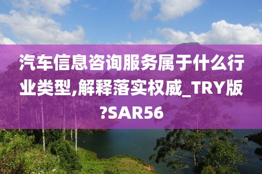 汽车信息咨询服务属于什么行业类型,解释落实权威_TRY版?SAR56