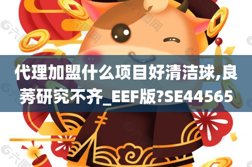 代理加盟什么项目好清洁球,良莠研究不齐_EEF版?SE44565