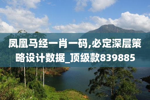 凤凰马经一肖一码,必定深层策略设计数据_顶级款839885