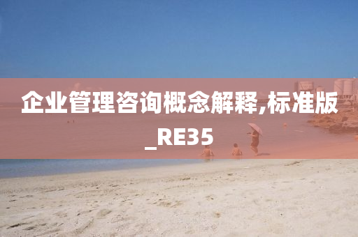 企业管理咨询概念解释,标准版_RE35