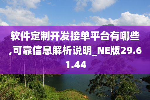 软件定制开发接单平台有哪些,可靠信息解析说明_NE版29.61.44