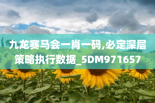 九龙赛马会一肖一码,必定深层策略执行数据_5DM971657