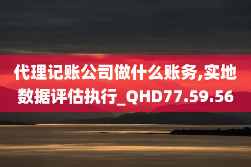 代理记账公司做什么账务,实地数据评估执行_QHD77.59.56