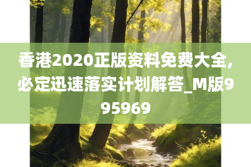 香港2020正版资料免费大全,必定迅速落实计划解答_M版995969