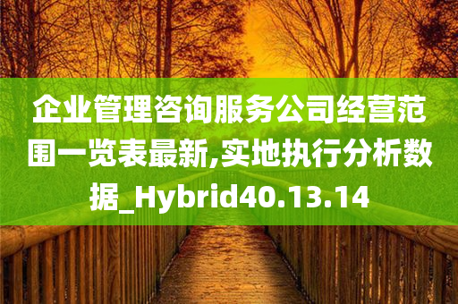 企业管理咨询服务公司经营范围一览表最新,实地执行分析数据_Hybrid40.13.14