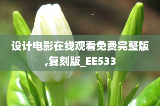 设计电影在线观看免费完整版,复刻版_EE533