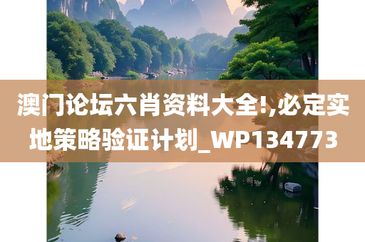 澳门论坛六肖资料大全!,必定实地策略验证计划_WP134773