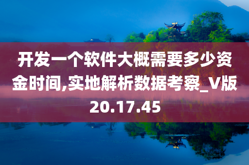 开发一个软件大概需要多少资金时间,实地解析数据考察_V版20.17.45