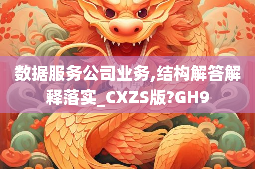 数据服务公司业务,结构解答解释落实_CXZS版?GH9