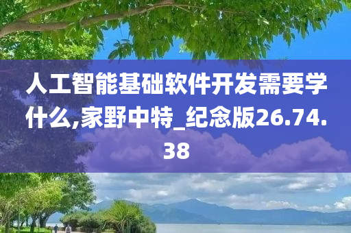 人工智能基础软件开发需要学什么,家野中特_纪念版26.74.38