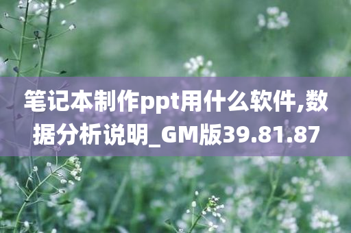 笔记本制作ppt用什么软件,数据分析说明_GM版39.81.87