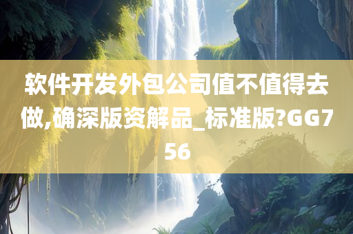 软件开发外包公司值不值得去做,确深版资解品_标准版?GG756