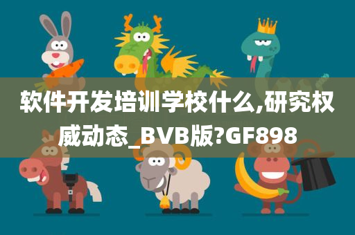 软件开发培训学校什么,研究权威动态_BVB版?GF898