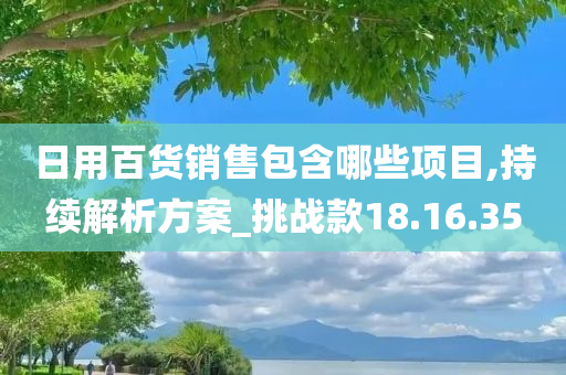 日用百货销售包含哪些项目,持续解析方案_挑战款18.16.35