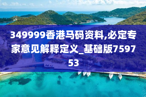 349999香港马码资料,必定专家意见解释定义_基础版759753