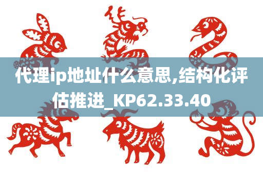 代理ip地址什么意思,结构化评估推进_KP62.33.40