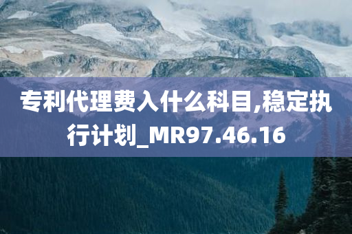 专利代理费入什么科目,稳定执行计划_MR97.46.16