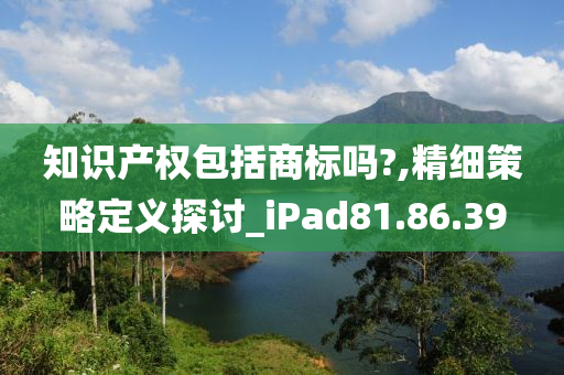 知识产权包括商标吗?,精细策略定义探讨_iPad81.86.39