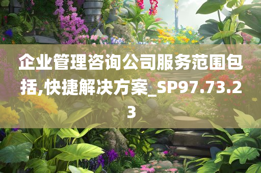 企业管理咨询公司服务范围包括,快捷解决方案_SP97.73.23