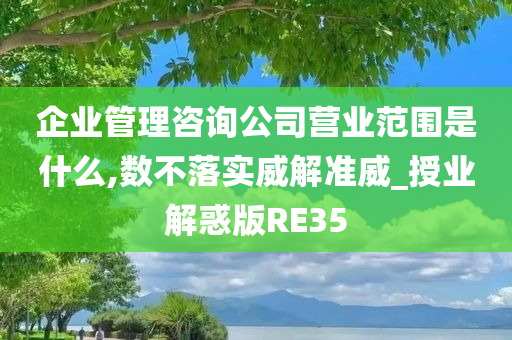 企业管理咨询公司营业范围是什么,数不落实威解准威_授业解惑版RE35