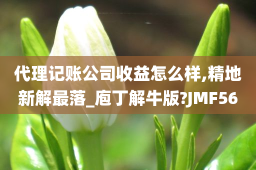 代理记账公司收益怎么样,精地新解最落_庖丁解牛版?JMF56