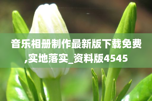 音乐相册制作最新版下载免费,实地落实_资料版4545