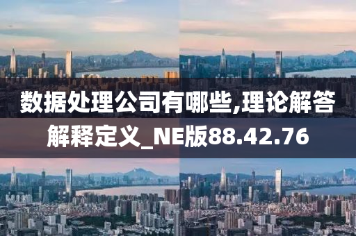 数据处理公司有哪些,理论解答解释定义_NE版88.42.76