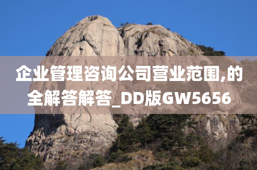 企业管理咨询公司营业范围,的全解答解答_DD版GW5656