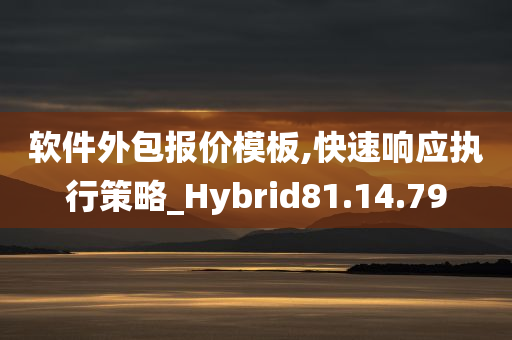 软件外包报价模板,快速响应执行策略_Hybrid81.14.79