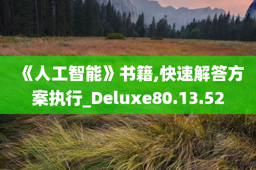 《人工智能》书籍,快速解答方案执行_Deluxe80.13.52