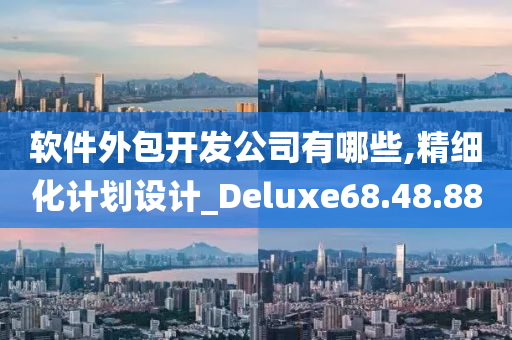 软件外包开发公司有哪些,精细化计划设计_Deluxe68.48.88