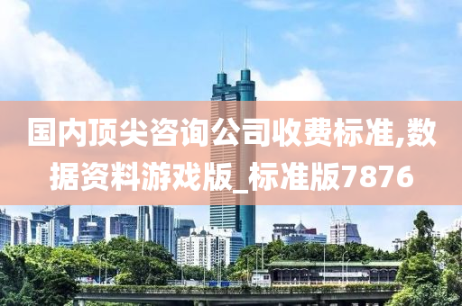 国内顶尖咨询公司收费标准,数据资料游戏版_标准版7876