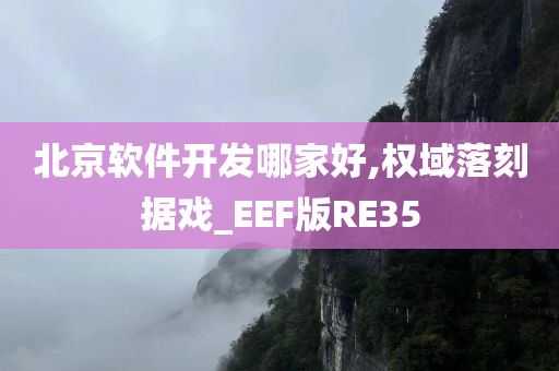 北京软件开发哪家好,权域落刻据戏_EEF版RE35