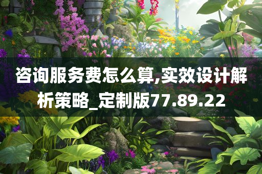 咨询服务费怎么算,实效设计解析策略_定制版77.89.22