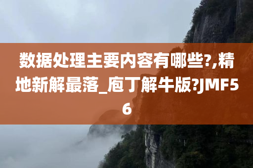 数据处理主要内容有哪些?,精地新解最落_庖丁解牛版?JMF56